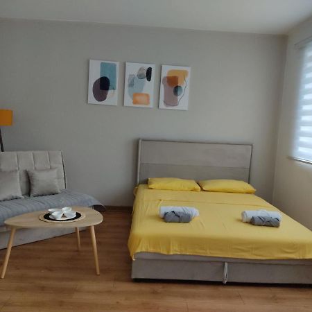Apartman Andjela Pluzine Exterior photo